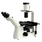 Inverted Biological Microscope  43-IBM300